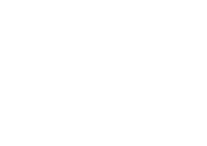 Logo GOOK wit